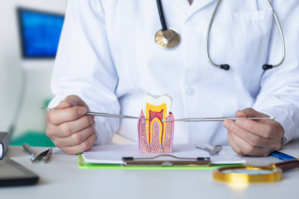 Best Pediatric Emergency Dentist in Silver Summit, UT